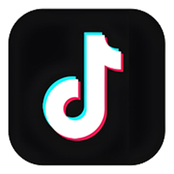 Tiktok 粉丝